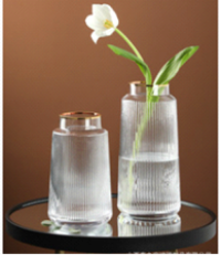 T-tube Vertical Strip Gold Mouth Transparent Glass Vase