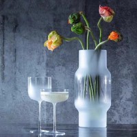 LSA Imported Hand-Frosted Glass Vase